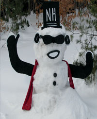 Moose near Lake Inn at Mt Sunapee